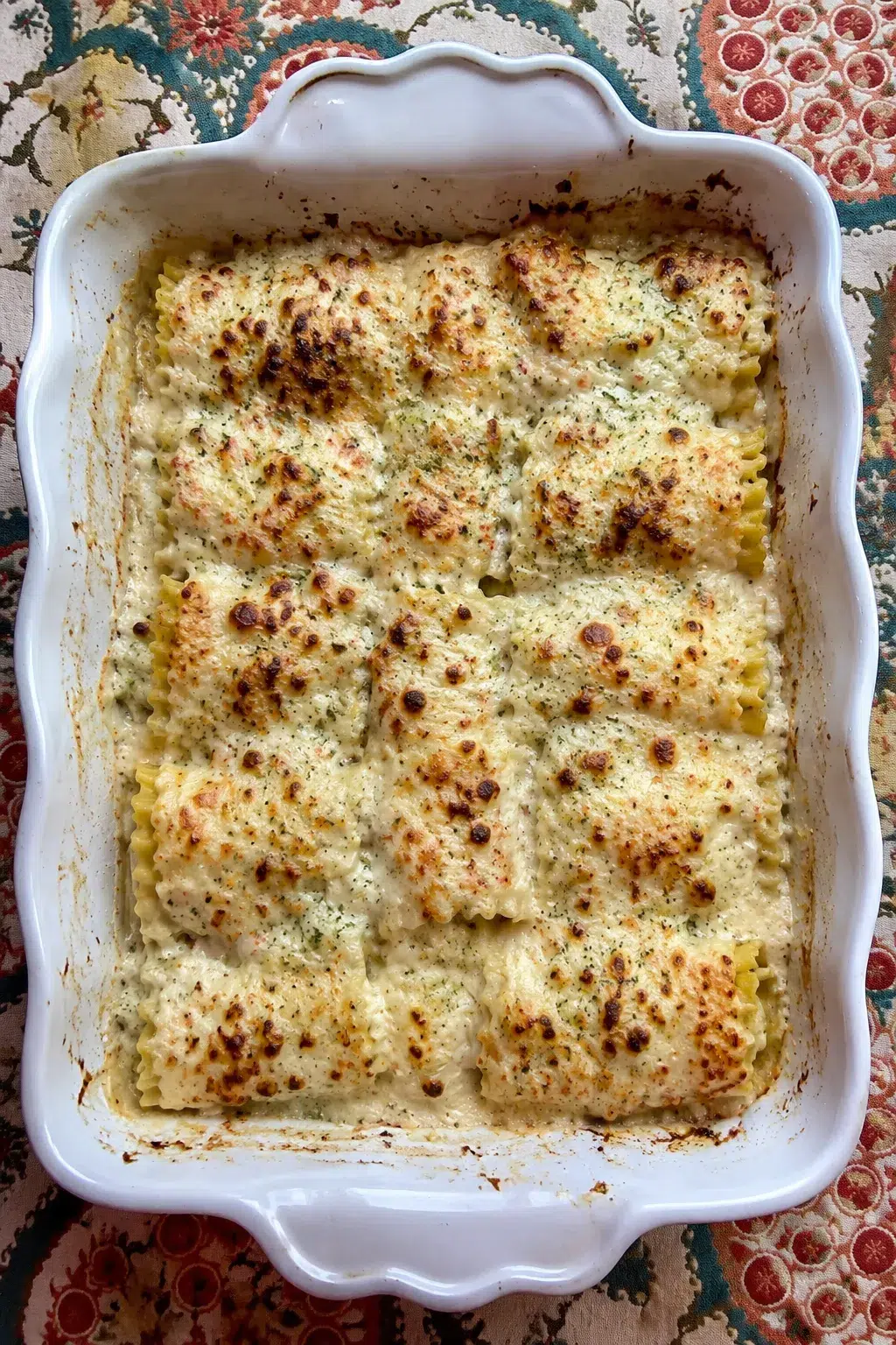 Chicken Alfredo Lasagna Roll Ups